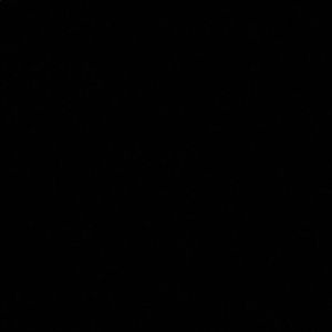 Meet your Posher, Sandy